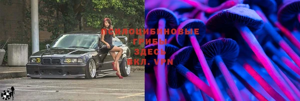тгк Ладушкин