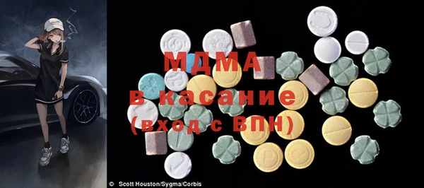 ГАЛЛЮЦИНОГЕННЫЕ ГРИБЫ Лагань