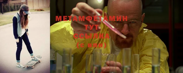ГАЛЛЮЦИНОГЕННЫЕ ГРИБЫ Лагань