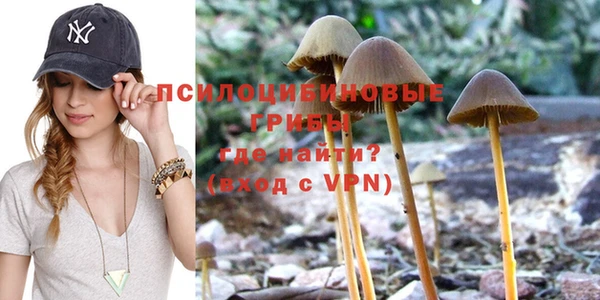 ГАЛЛЮЦИНОГЕННЫЕ ГРИБЫ Лагань