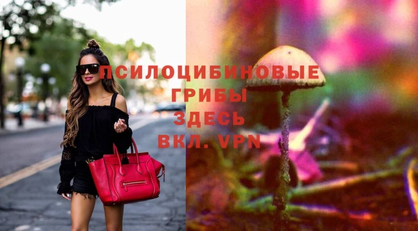 ГАЛЛЮЦИНОГЕННЫЕ ГРИБЫ Лагань