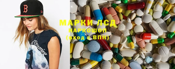ГАЛЛЮЦИНОГЕННЫЕ ГРИБЫ Лагань