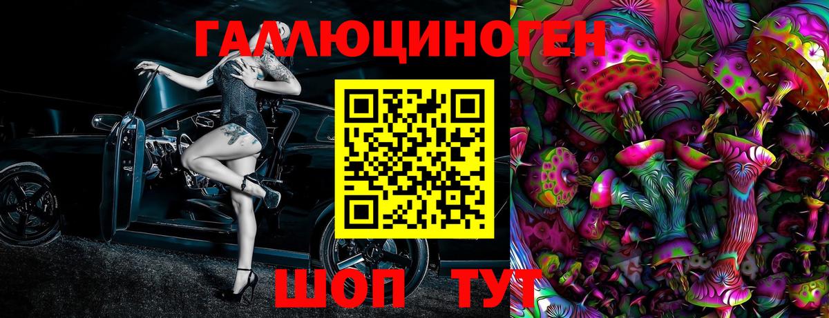 Галлюциногенные грибы Psilocybine cubensis Чернушка