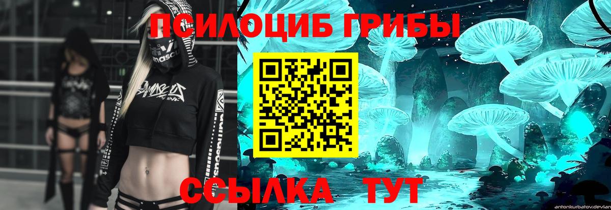 Чернушка  Галлюциногенные грибы Psilocybe  Вход с VPN 