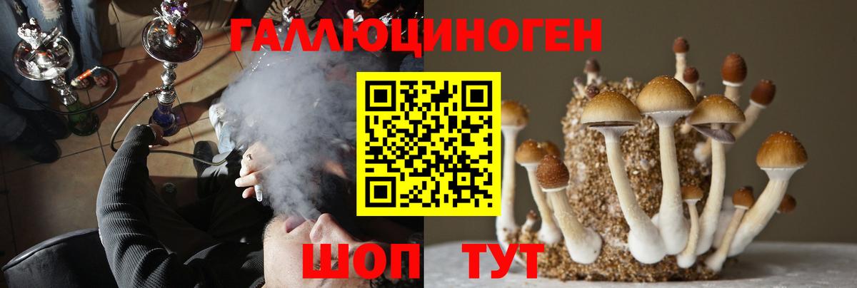 Псилоцибиновые грибы Psilocybine cubensis  Чернушка  Галлюциногенные грибы мицелий 