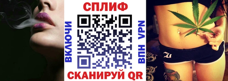 дарнет шоп  Чернушка  Канабис семена 