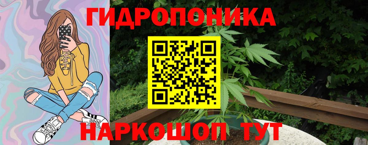 Каннабис Ganja Чернушка